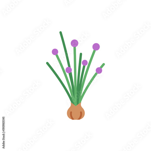 Minimal Flat Vector Icon of Chives Plant with Purple Flower Heads