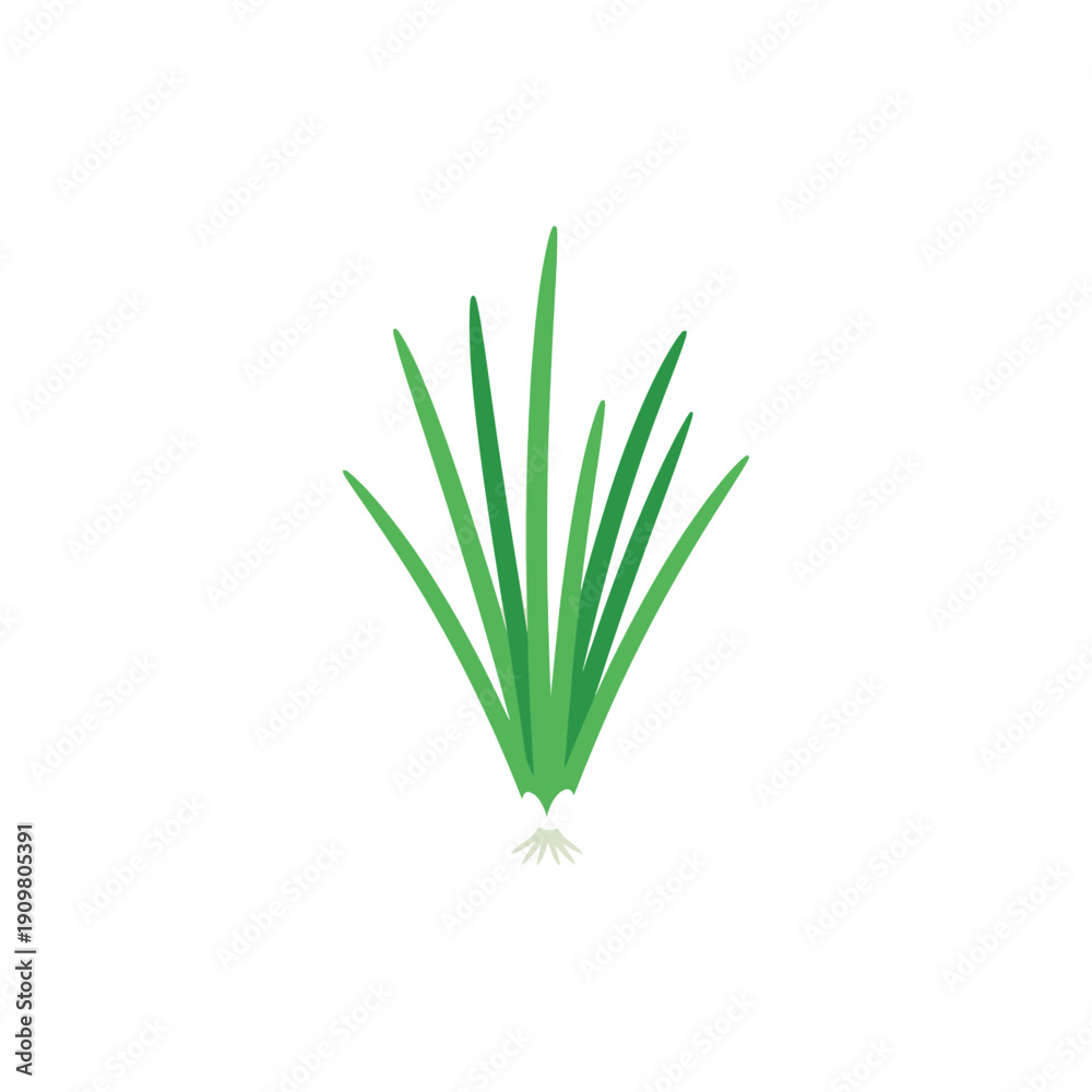 Obraz premium Flat Vector Illustration of Chive Clump with Roots