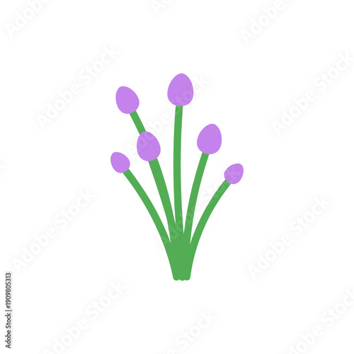 Flat Vector Illustration of Chives with Purple Flower Buds on White Background