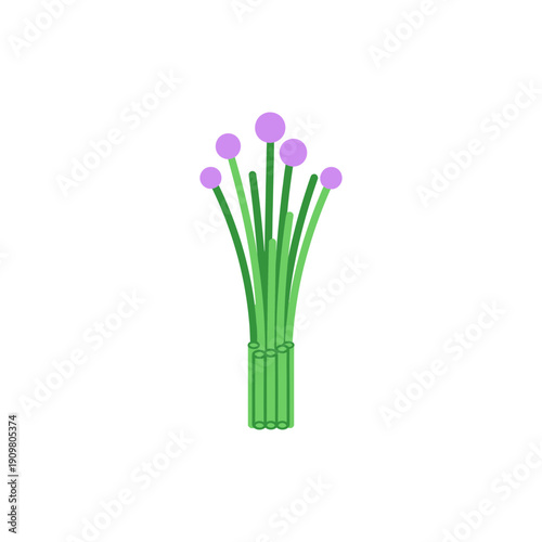Minimal Flat Vector Icon of Chives Bunch with Purple Flower Heads on White Background