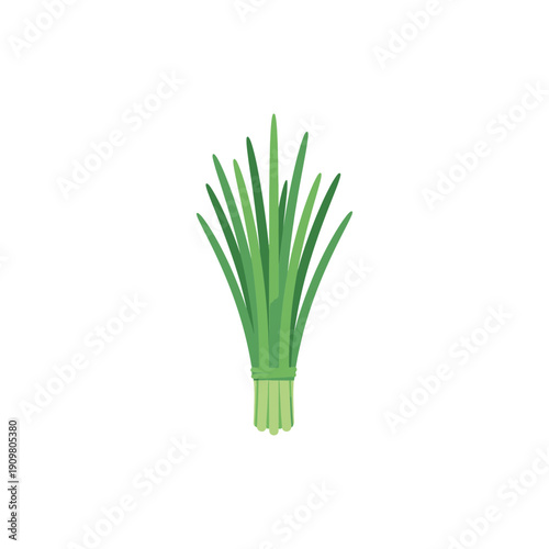 Smooth-Edged Flat Vector Illustration of Chives Bunch Tied at Base
