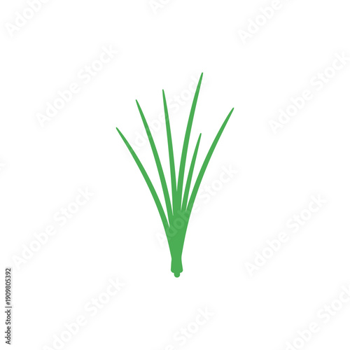 Flat Vector Illustration of Chive Tuft for Food Icon