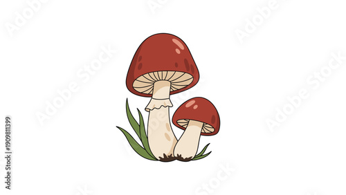 Two red-capped mushrooms with white stems are shown growing among blades of green grass in a forest or garden setting.