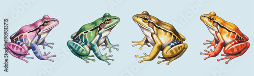 Colorful tree frogs collection realistic amphibian wildlife illustration isolated on background for nature education design