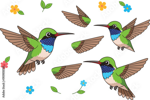 Broad-tailed Hummingbird Vector Illustration Set with Small Green and Blue Birds in Flight, Brown Wings, Garden Flowers, and Nature Spring Elements