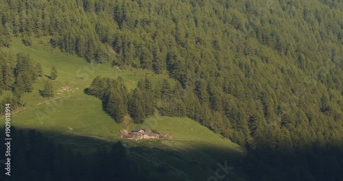 Alpine vegetation with woods and meadows kissed by the last rays of the sun