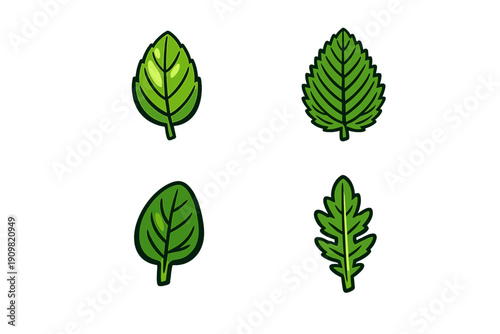 A set of four stylized green leaf illustrations displayed on a solid black background. Each leaf features a unique shape, including serrated, lobed, and smooth margins with visible veins.