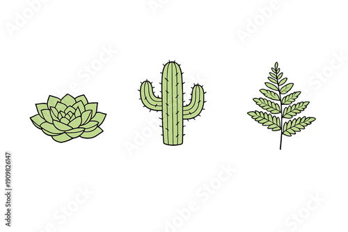 A set of three light green botanical illustrations featuring a succulent, a cactus, and a fern leaf arranged horizontally on a plain black background.