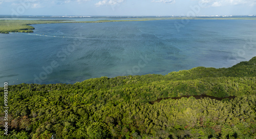 Vista aérea de manglares verdes junto a una laguna costera en entorno tropical. Escena natural que representa biodiversidad, conservación ambiental y ecosistema marino en zona costera.