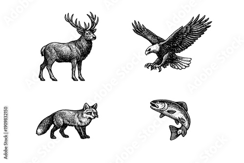 A collection of four vintage style animal illustrations featuring a stag, a bald eagle, a fox, and a fish, all rendered in detailed black and white engraving on a dark background.