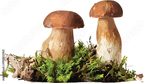 Realistic vector illustration of two porcini mushrooms growing in moss and forest floor debris for nature and food concepts.