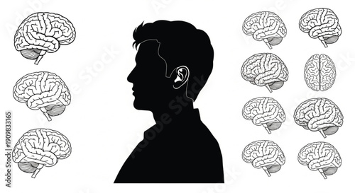 vector illustration of  human brain