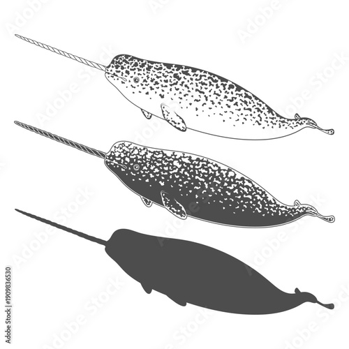 Set of black and white illustrations animal narwhal, sea unicorn. Isolated vector objects on white background.