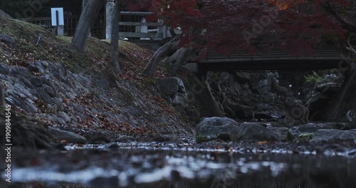 Early morning at nearly dry stream with view of autumn trees and small bridge