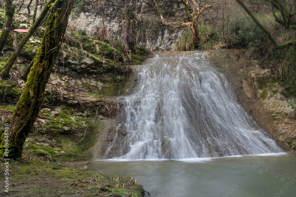 Obraz premium Waterfall in the forest