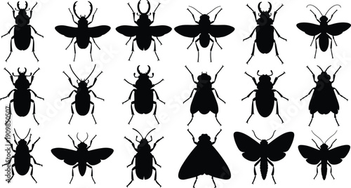 Silhouettes of twenty different insects arranged in grid showing varied body shapes, wings, and antennae for educational design themes