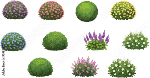 Blooming bush collection with colorful flowers and green foliage, garden shrubs, landscaping plants, floral elements, decorative natural greenery.