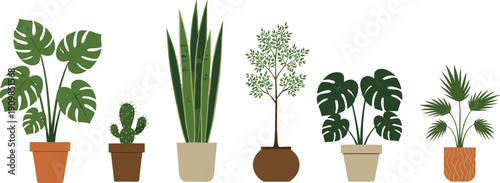 Cartoon potted plants, indoor houseplants, tropical foliage, cactus illustration, fan palm, monstera leaves, decorative pots, botanical clipart, gardening design, home decor art
