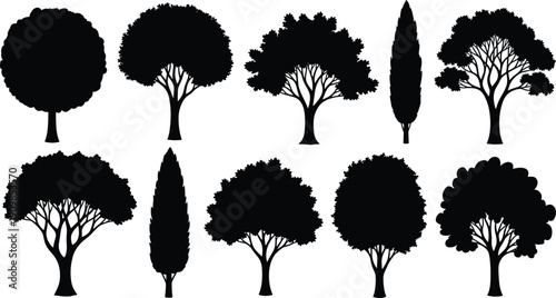 Silhouettes of ten different trees with varied canopy shapes, foliage patterns, and trunk styles for landscaping and design themes