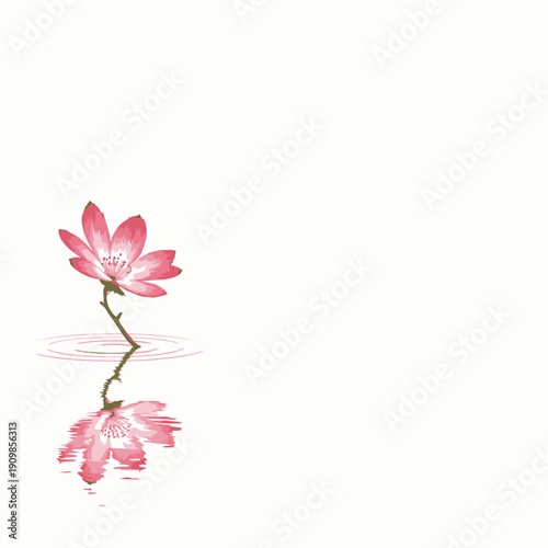 Serene Pink Lotus Flower Reflecting Harmoniously on Calm Water Surface Symbolizing Tranquility and Natural Elegance in Minimalistic Composition