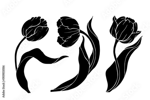 Set of spring tulip flower silhouettes and stamps. Vector botanical elements.
