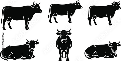 Cow silhouette icon set with five black illustrations showing standing, lying, and forward-facing poses.