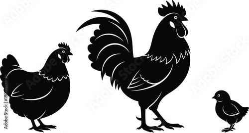 Silhouette of hen, rooster, and chick in side profile showing domestic chicken family for agriculture and design themesPrint