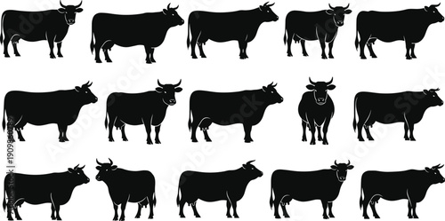 Set of fifteen cow silhouettes in varied postures and orientations for livestock, agriculture, and design themes