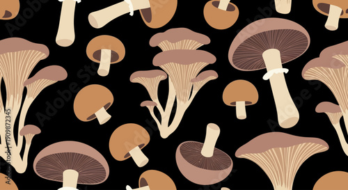 Assorted Mushrooms Illustration on Black Background from Overhead Viewpoint