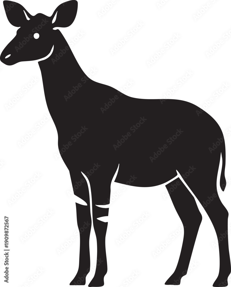 Fototapeta premium Rare African Okapi Standing Side View Animal Silhouettes on White Background
