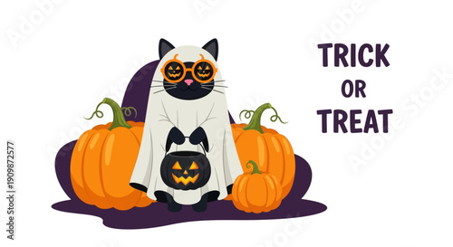 A cat in a ghost costume with a jack-o-lantern on Halloween night surrounded by pumpkins from a front view