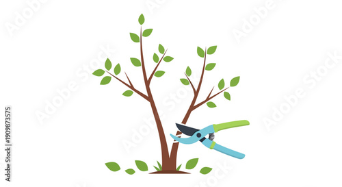 Pruning shears cutting a branch of a small tree with green leaves in a garden from a close-up view