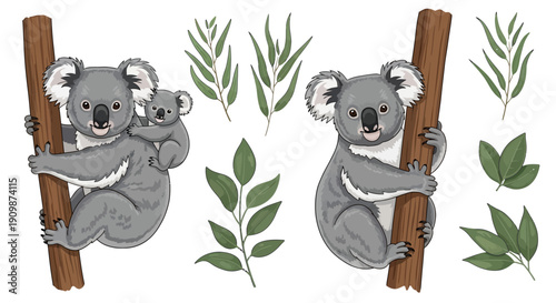 Two koalas climbing tree trunks surrounded by leaves in a serene natural setting illustration