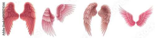 Pink Angel Wings PNG Isolated White Background, Feathered Fairy Wing Set, Cupid Costume Elements, Rose Gold Bird Wings, Fantasy Magic Clipart, Romantic Illustration