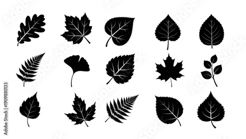 Black Silhouette Spring Season Leaf Icon Set | 15 Vector Icons