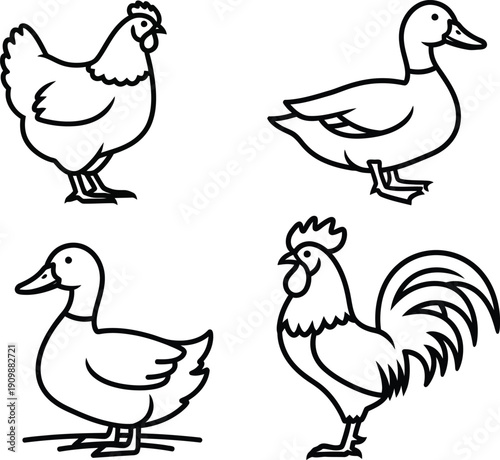 A simple line drawing of farm animals including ducks and a rooster.