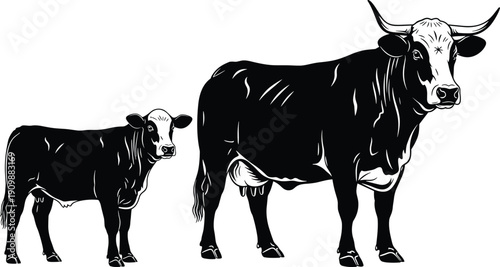 Black and white vector illustration of a cow with its calf, standing together, dairy cattle, livestock farming, mother cow and baby
