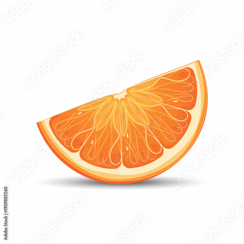 Orange Slice Vector Illustration, Fresh Citrus Fruit, Realistic Flat Design, Isolated on White Background,