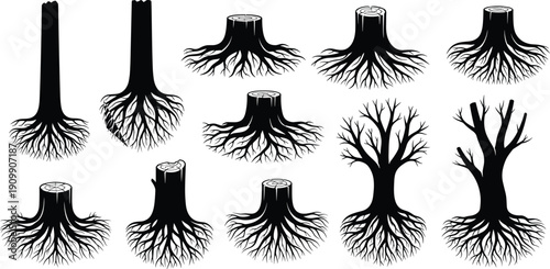 tree, stump, root, silhouette, anatomy, black, white, icon, illustration, vector, design, symbol, trunk, underground, system, leafless, structure, nature, bare, educational