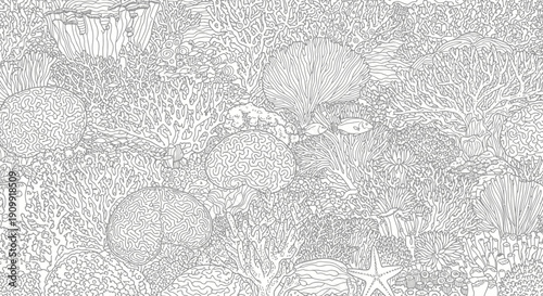 Intricate hand-drawn line art illustration of a thriving coral reef with diverse marine life, featuring corals, fish, and starfish.