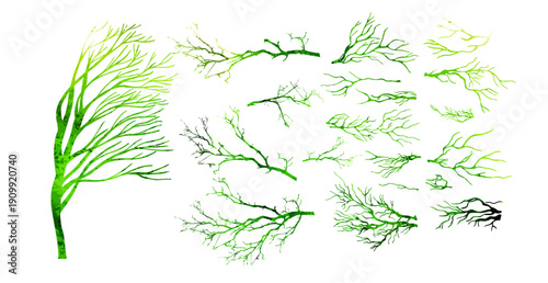 A set of green tree branches . hand drawing. Not AI Vector illustration.