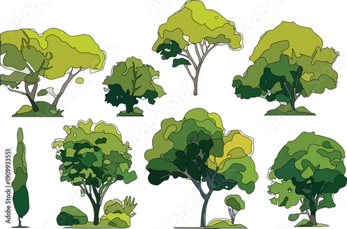 Comprehensive Chart of Global Tree Diversity Showcasing Unique Characteristics of Poplars, Planes, and Peas for Biodiversity Awareness