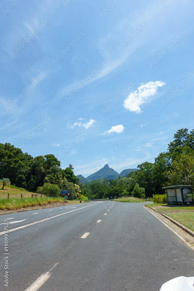 Fototapeta premium Road leading to Mount Warning in Road leading to Mount Warning National Park