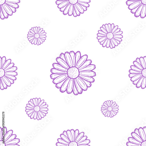 Seamless pattern of a camomile flower engraving daisie isolated