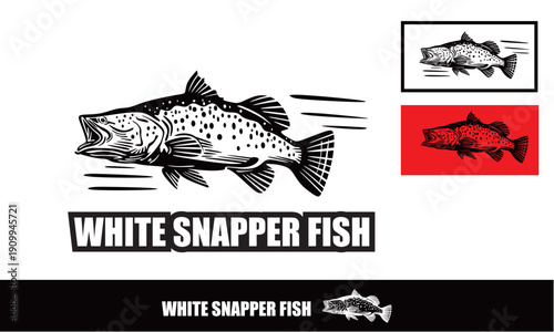 barramundi fish swimming logo, silhouette of white snapper vector illustrations