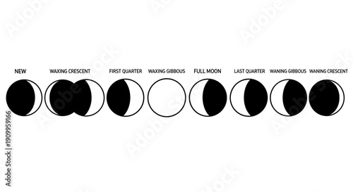 Phases of the Moon Cycle 7.
