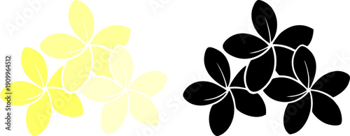 Plumeria frangipani flowers silhouettes and yellow floral patterns