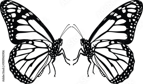 Black and white monarch butterfly silhouettes set, elegant flying insects with detailed wing patterns, spring nature garden flat vector icons for design
