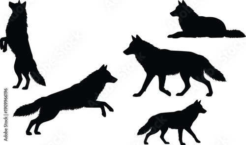Black wolf silhouettes collection, wild animal shadows in various poses including running, jumping, sitting, standing, and howling, cad drawing flat vector illustration, isolated icons