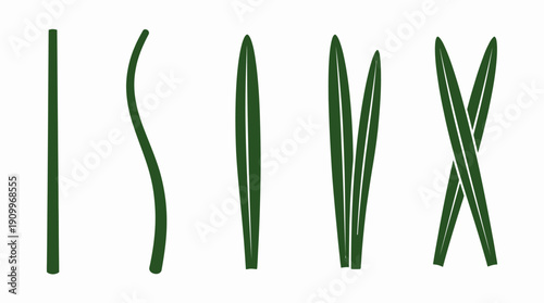 Green leaf shapes on white background. Spring Vector Packs. EPS Editable